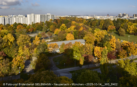15.10.2025 - goldener Oktober mit Blick auf das Marx-Zentrum und Wohnanlage am Karl-Marx-Ring 52-62